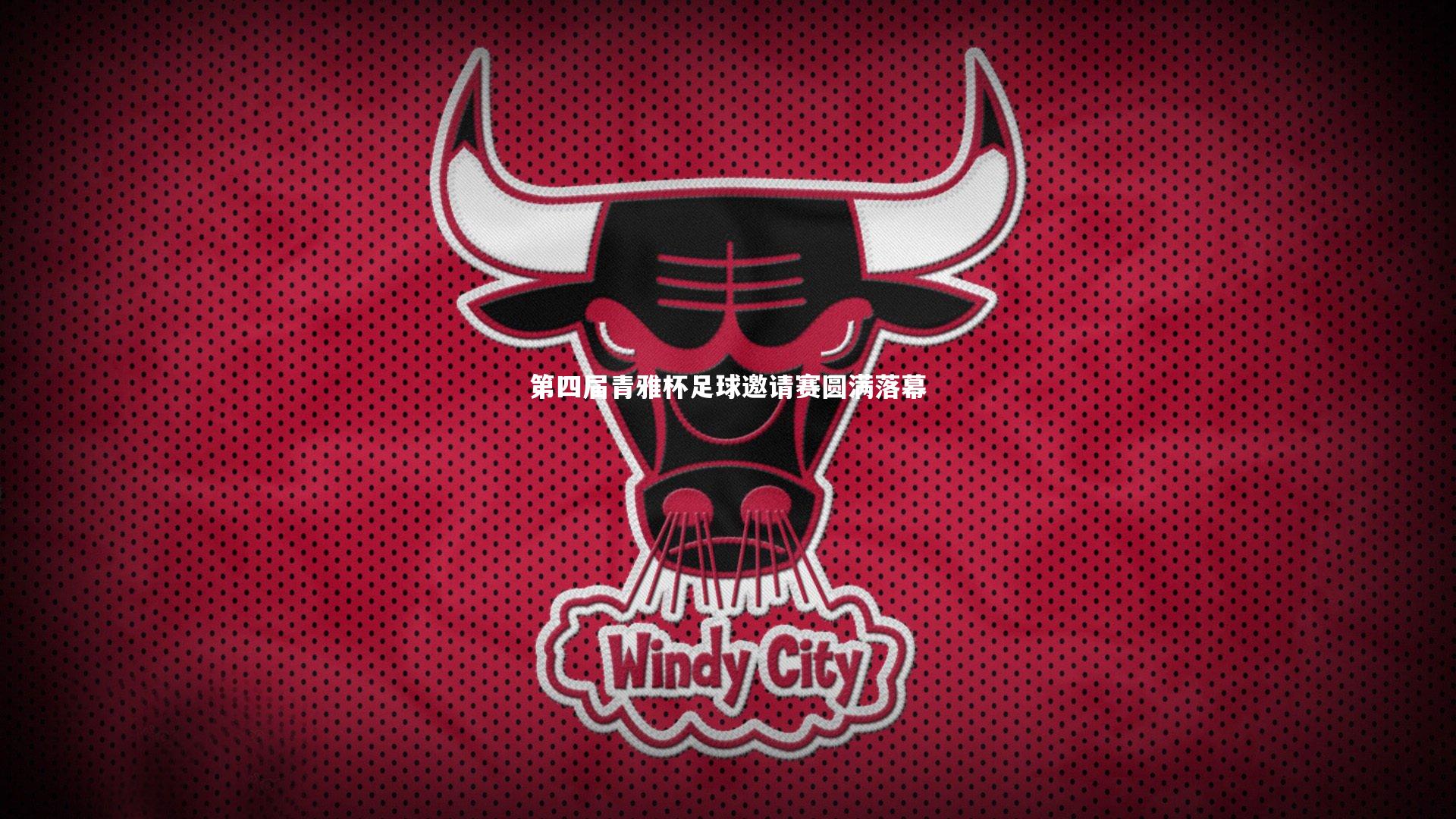 第四届青雅杯足球邀请赛圆满落幕