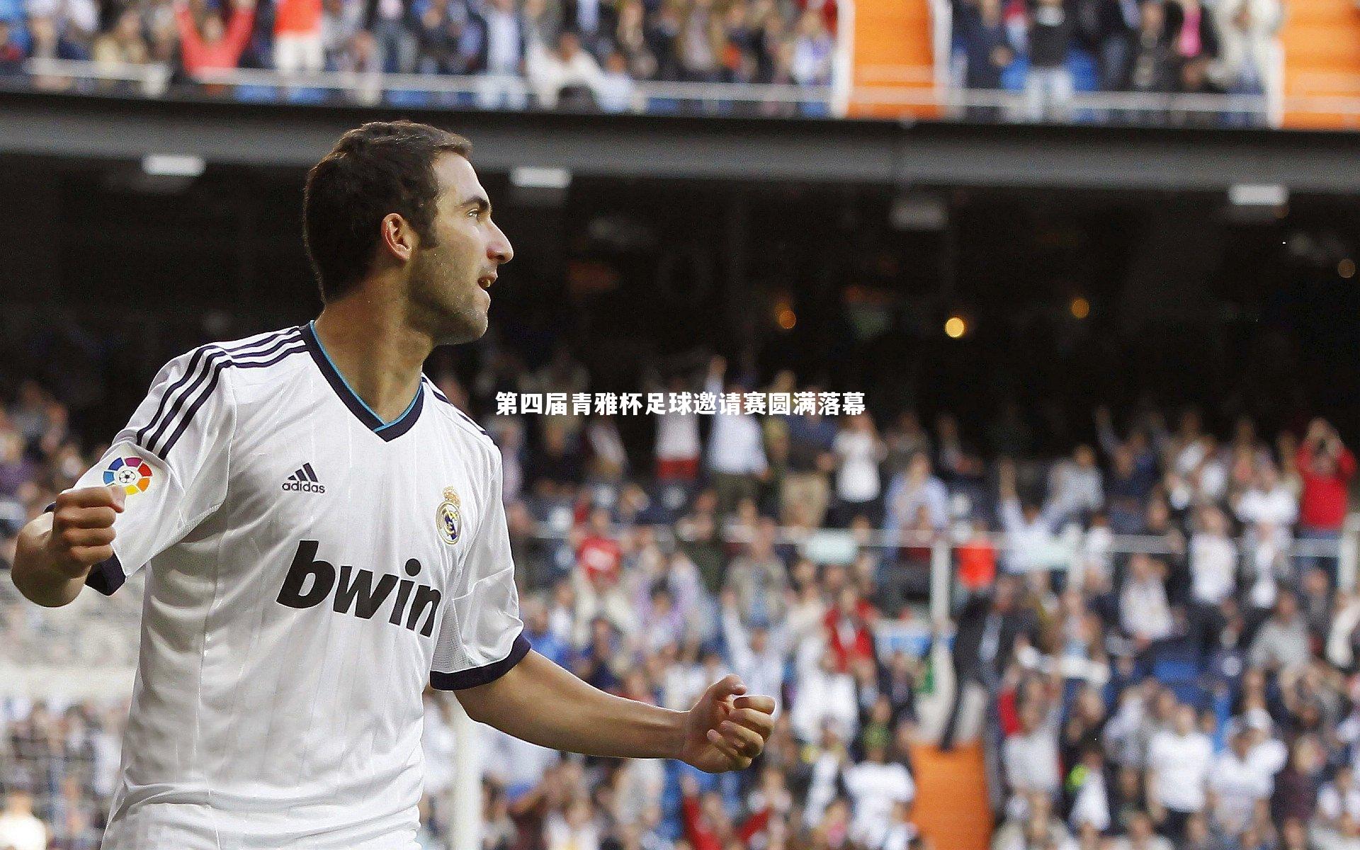 第四届青雅杯足球邀请赛圆满落幕